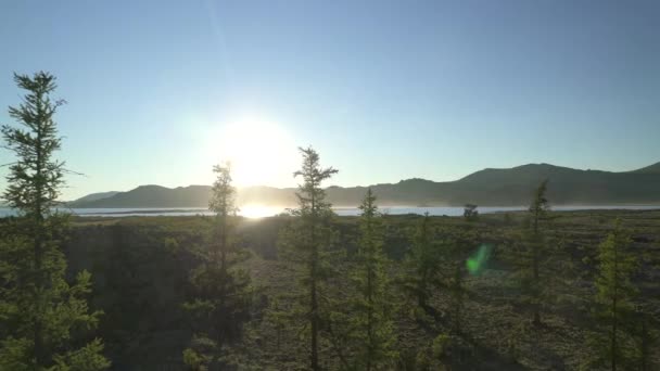 Lake Tree Branches Rocks Basalt Common Extrusive Igneous Volcanic Rock — Stock Video