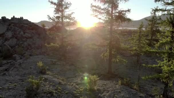Ontspannende Sunny Lake View Tree Branches Een Meer Tussen Boomtakken — Stockvideo