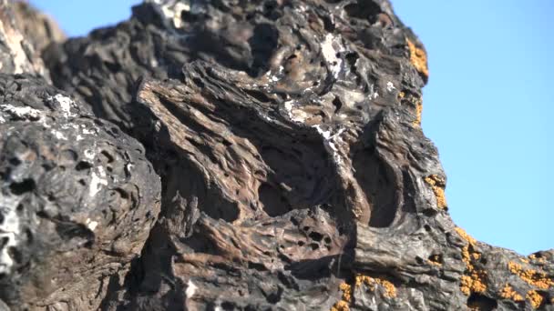Solidificado Lava Igneous Rock Basalt Estrutura Esponjosa Poroso Esmagado Quebrado — Vídeo de Stock