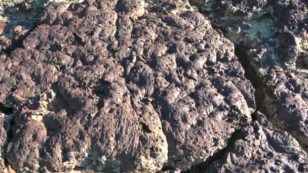 Твердая Лава Igneous Rock Basalt Губчатой Структуры Пористые Дробленые Сломанные — стоковое видео