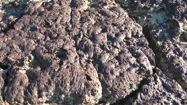 Solidificado Lava Igneous Rock Basalt Estrutura Esponjosa Poroso Esmagado Quebrado — Vídeo de Stock