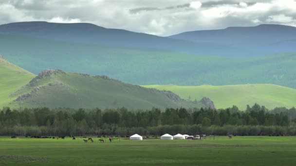 Mongolian Ger Tents Large Valley Mongolia Elevation Terrain Geography Topography — Stock Video