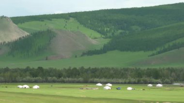 Moğolistan düzlüklerinde Moğol çadırı. Büyük vadi arazisi. Büyük orman ağacı. Taiga çamı çayırı çayırı çayırı çayırı çayırı.