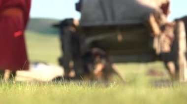 Bir köpek Moğolistan 'da bir öküz arabasının önünde oturur. Geleneksel takla ve kırsal alanda siyah öküz dümeni. Tumbrel ya da tumbril araba genellikle tek bir at ya da oksun taşıması için tasarlanmış iki tekerlekli bir arabadır..