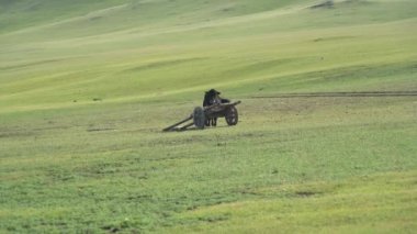 Geleneksel takla atma ve kırsal alanda siyah öküz dümeni. Tumbrel ya da tumbril araba genellikle tek bir at ya da öküz tarafından taşınmak üzere tasarlanmış iki tekerlekli bir arabadır. İlkel ilkel ilkel ilkel ilkel ahşap evcil öküz boğa sürüsü..