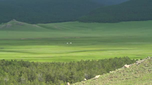 Монгольские Геры Палатки Большой Долине Монголии Высота Местности Географическая Топография — стоковое видео