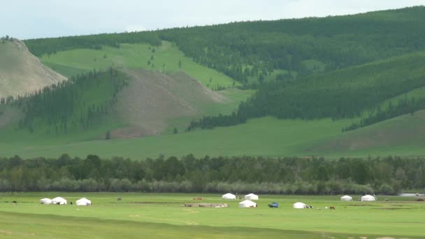 Namioty Mongolskie Równinach Mongolii Duży Teren Doliny Duży Długi Las — Wideo stockowe