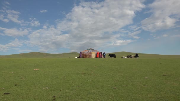 Rodzina Buduje Namiot Ger Łące Mongolia People Ger Gers Namioty — Wideo stockowe