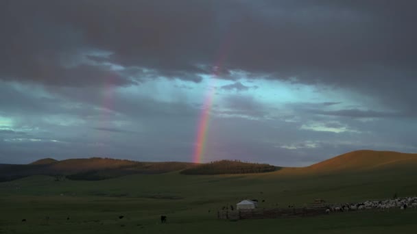 日の出にモンゴルの牧草地で虹 ゲルテントや羊の群れ 時間の前に夜明け夕暮れで日の出早朝の日ゲルテントパオの家遊牧民の伝統的な遊牧民のモンゴルの牧草地草原草原高原低地平野 — ストック動画