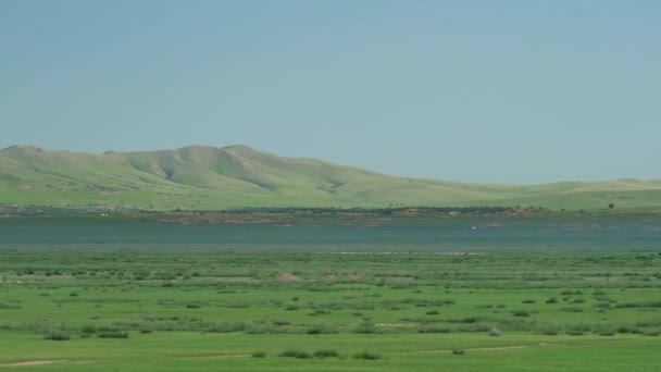 アジアの低い丘の前に平らな牧草地山の尾根丘陵緑緑新鮮な草原草原草原草原草原高原の草原低地平野手付かずの背景風景壮大な美しさ素晴らしい素晴らしい素晴らしい素晴らしい素晴らしい美しい — ストック動画