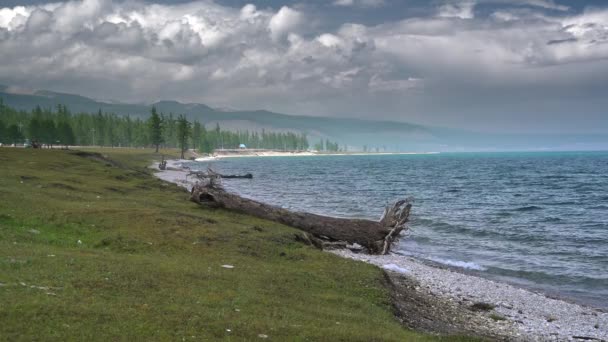 Bajkalsjön Största Bassängen Sibirien Riftlake Ryssland Irkutsk Oblast Burjat Republiken — Stockvideo