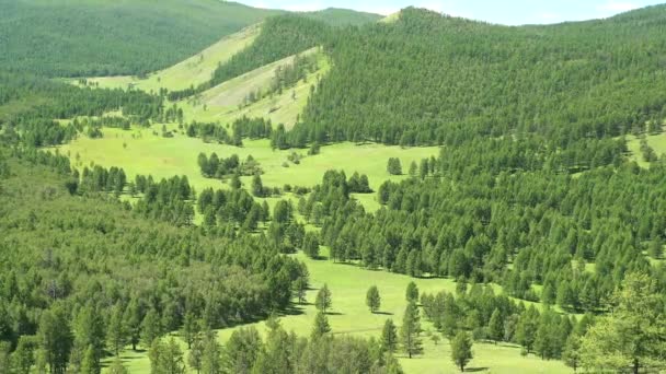 Prairies Vertes Dans Bois Clairsemé Entre Les Collines Couvertes Forêts — Video