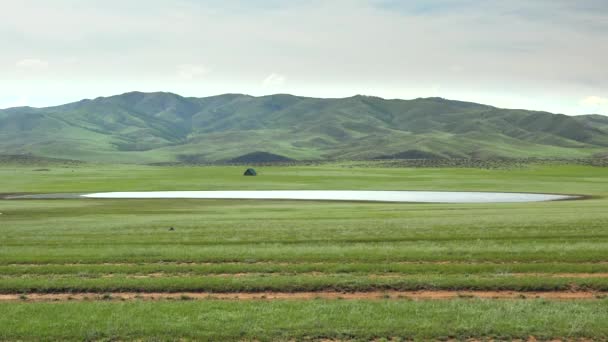 Moğolistan Ağaçsız Çayırda Göl Kenarında Yalnız Bir Manzara Çatısı Sulak — Stok video
