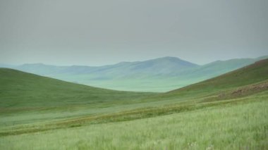 Ağaçsız geniş vadide. Çayırlık çayır otlağı bozkır bozkır bozkır bozkırı, ovalar, ovalar, dağlık arazi dağları, yamaçlar, yamaçlar, tepe tepeleri, geniş sınırsızlıklar, büyük, bozulmamış, uzun ve bozulmamış doğa.