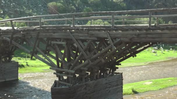 Ponte Legno Legno Fatto Tronchi Albero Fiume Ruscello Struttura Costruzione — Video Stock