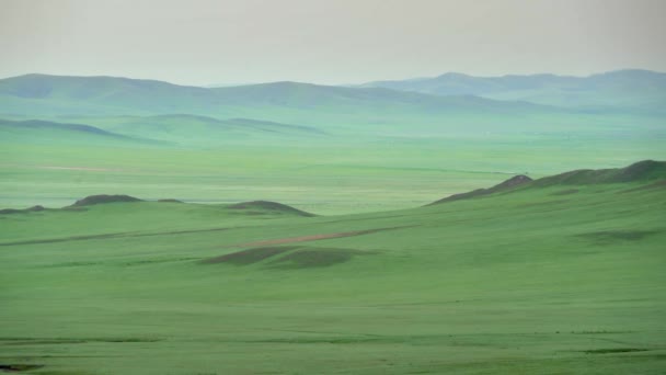 Plain Treeless Wide Valley Grassland Prairie Meadowwold Pasture Steppe Plateau — Stock Video