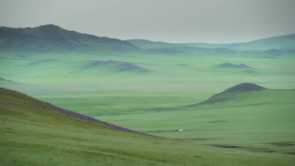 Plain Treeless Wide Valley Grassland Prairie Meadowwold Pasture Steppe Plateau — Stock Video