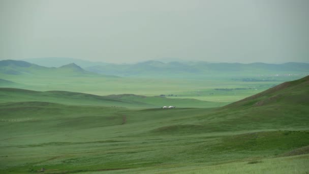 Plain Treeless Wide Valley Grassland Prairie Meadowwold Pasture Steppe Plateau — Stock Video