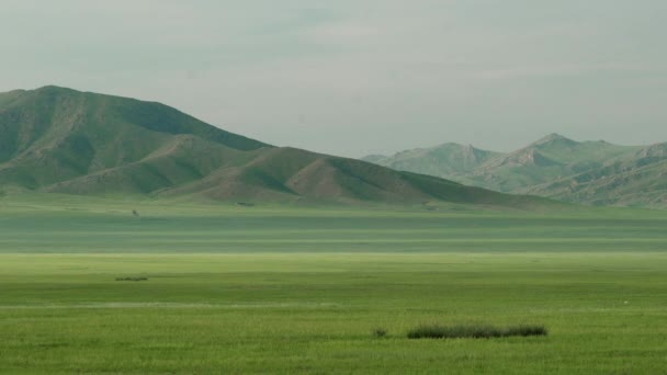 산등성이의 몽골의 대규모 — 비디오