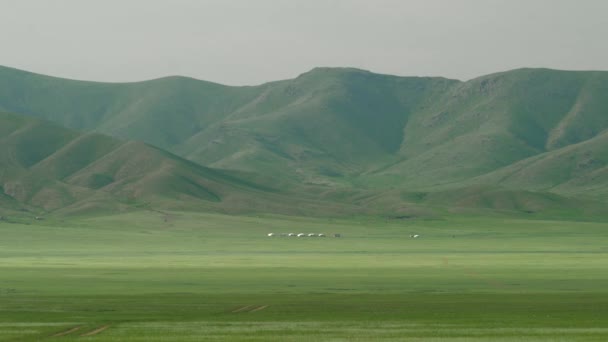 Slett Trefritt Vidstrakt Valley Grassland Prærie Meadowwold Beitemark Steppeplatået Lavland – stockvideo