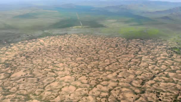 Ökenväxter Sand Semi Öken Sanddyner Moltsog Els Khustai National Park — Stockvideo