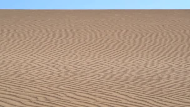 Sandstorm Sand Surface Desert Barren Arid Infertile Xeric Desertic Treeless — Stock Video