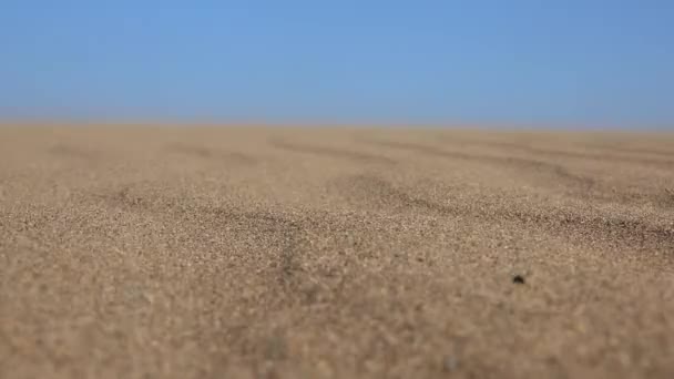 Sandstorm Sand Surface Desert Barren Arid Infertile Xeric Desertic Treeless — Stock Video