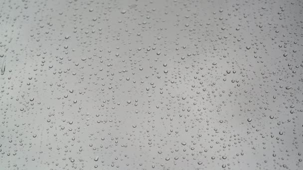 7680X4320 Krople Wody Deszczowej Mokrą Powierzchnię Okna Przezroczyste Plamy Deszczu — Wideo stockowe