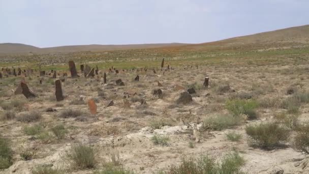 Grabsteine Und Obelisken Auf Dem Prähistorischen Friedhof Kurgan Steinstelen Statue — Stockvideo