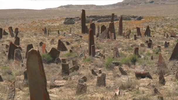 Gravstenar Och Obelisker Förhistorisk Kyrkogård Kurgan Sten Stelae Staty Menhirs — Stockvideo