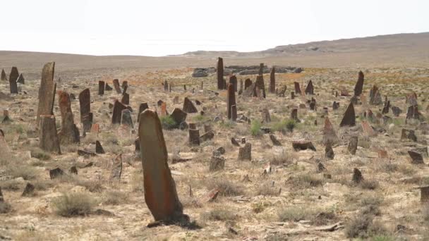 Надгробия Обелиски Доисторическом Кладбище Курганские Каменные Стелы Статуя Menhirs Steles — стоковое видео