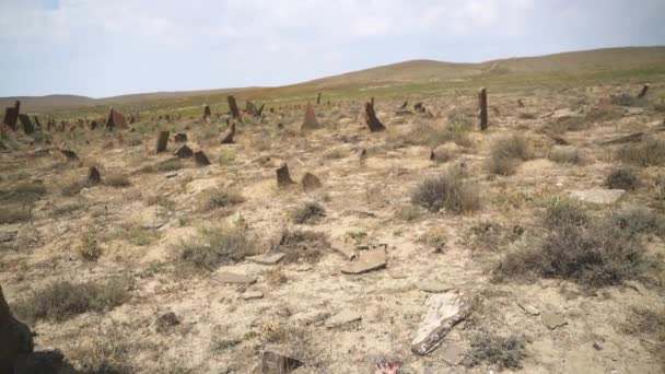 Επιτύμβιες Στήλες Και Οβελίσκοι Στο Προϊστορικό Νεκροταφείο Kurgan Stone Stelae — Αρχείο Βίντεο