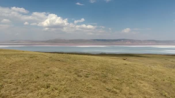 Lago Salino Salgado Corpo Água Sem Litoral Que Tem Uma — Vídeo de Stock