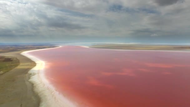 塩湖や塩湖は 塩や他の溶解鉱物の濃度が大幅にほとんどの湖よりも高いの濃度を有する水の内陸体であります ピンクの活気のある色アルカリ炭酸塩固体赤染料ソーダDunaliellaサリナ生物好塩4K — ストック動画