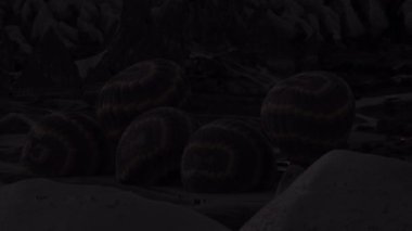 Gece güneş doğmadan önce sıcak hava balonları şişirmeye yönelik hazırlıklar. Kullan-at, sabah uçuşları. Karanlık hava gemisi enflasyonu, enflasyon paraşütü.
