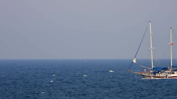 Bir Yelkenli Motor Gücüyle Denizde Seyahat Ediyor Tekne Teknenin Beyaz — Stok video