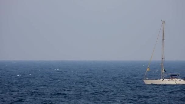 Парусник Путешествующий Морю Двигателем Power Solitary Корабль Лодка Белый Синий — стоковое видео