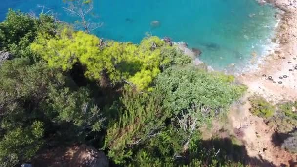 Aerea Chiara Barriera Corallina Rocciosa Costa Incontaminata Brillante Mare Turchese — Video Stock