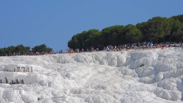 Látogatók Turisták Sétálnak Túra Kalcium Karbonát Travertines Travertin Terasz Képződmények — Stock videók