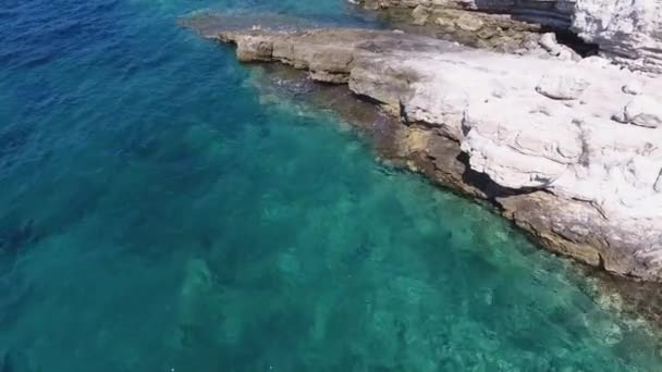 Aerea Chiara Barriera Corallina Costa Incontaminata Luminoso Mare Turchese Seaboard — Video Stock