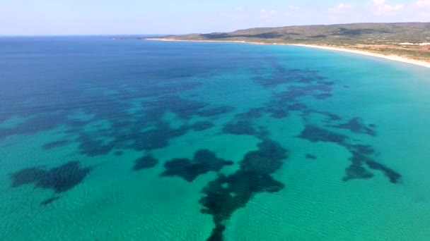 Algas Marinhas Recifes Coral Claro Chão Tropical Raso Mar Com — Vídeo de Stock