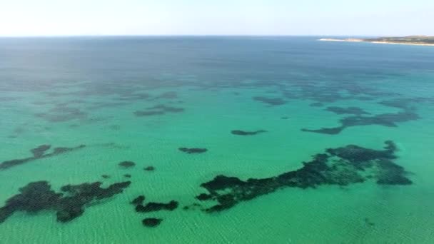 Zeewier Koraalrif Een Heldere Tropische Ondiepe Zeebodem Met Wit Zand — Stockvideo