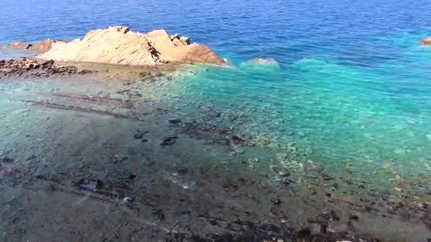 산호초는 청록색 바다의해 손상시키지 않았다 오염되지 해안에는 투명하고 한아름다움 — 비디오