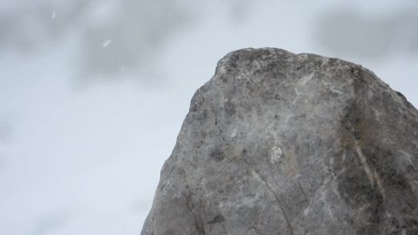 Schneeschichten Sammeln Sich Auf Felsen Harten Stürmischen Kalten Winter Fallen — Stockvideo