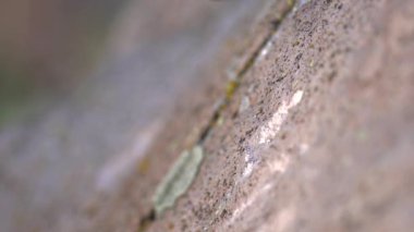 Antik insan mağara resimleri ve kaya yüzeyine demir oymacılığı ile tarihi grafiti yazıları. Taş oyma ustası, taş yontma ustası, tarih öncesi ilkel anıt menhirs obelisk megalith heykelini şekillendiren çalışmalar yapıyor..