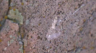 Antik insan mağara resimleri ve kaya yüzeyine demir oymacılığı ile tarihi grafiti yazıları. Taş oyma ustası, taş yontma ustası, tarih öncesi ilkel anıt menhirs obelisk megalith heykelini şekillendiren çalışmalar yapıyor..