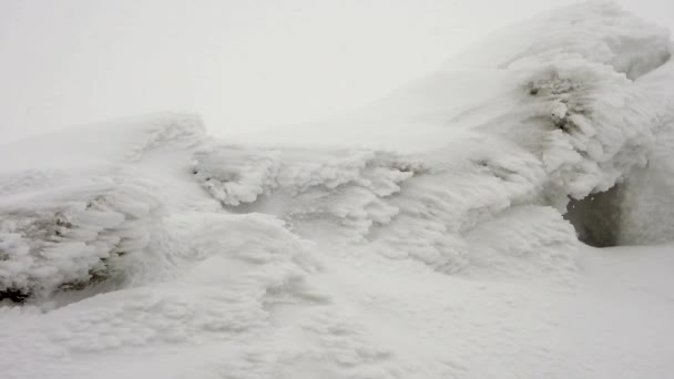 Strati Neve Che Accumulano Sulla Roccia Forte Tempesta Freddo Inverno — Video Stock