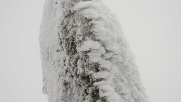 雪の層は 冬の厳しい嵐の寒さの中で岩の上に蓄積します 石の嵐のサフリ山の雪氷の表面氷の凍結風の風自然白最初の霜山平野斜面尾根丘陵の丘のピーク頂上を閉じます — ストック動画
