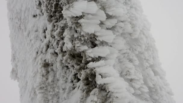 Schneeschichten Sammeln Sich Auf Felsen Harten Stürmischen Kalten Winter Fallen — Stockvideo