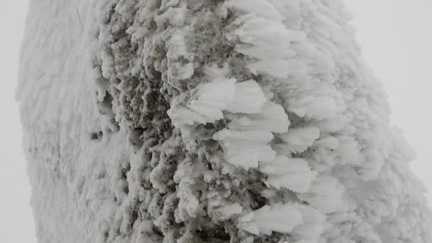 Couches Neige Accumulant Sur Roche Par Temps Froid Orageux Dur — Video